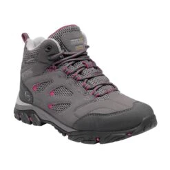 Regatta Dames/dames Holcombe IEP Mid Hiking Boots (Staal/levendig)